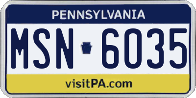 PA license plate MSN6035