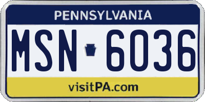 PA license plate MSN6036
