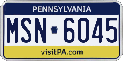PA license plate MSN6045