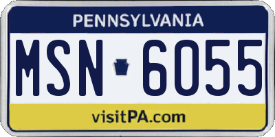 PA license plate MSN6055