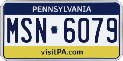 PA license plate MSN6079