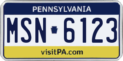 PA license plate MSN6123