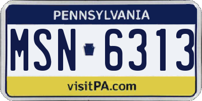 PA license plate MSN6313