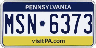 PA license plate MSN6373