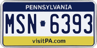 PA license plate MSN6393
