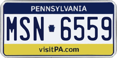 PA license plate MSN6559