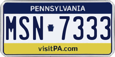 PA license plate MSN7333