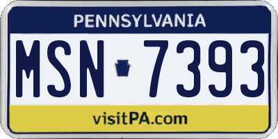 PA license plate MSN7393
