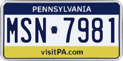 PA license plate MSN7981