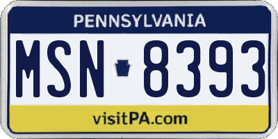 PA license plate MSN8393