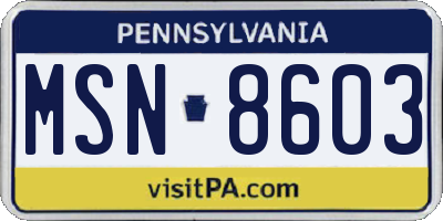 PA license plate MSN8603