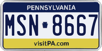 PA license plate MSN8667