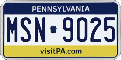 PA license plate MSN9025