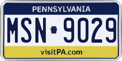 PA license plate MSN9029
