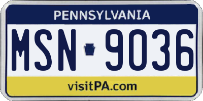 PA license plate MSN9036
