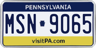 PA license plate MSN9065