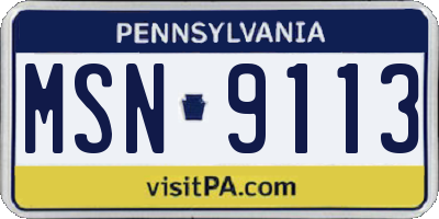 PA license plate MSN9113