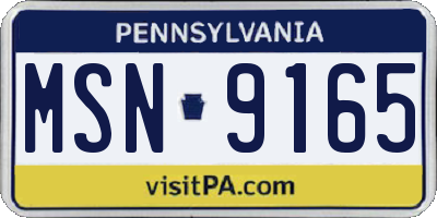 PA license plate MSN9165
