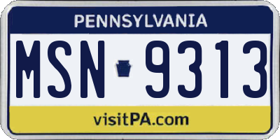 PA license plate MSN9313