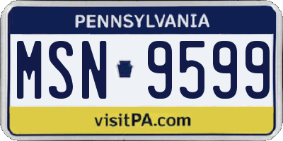 PA license plate MSN9599