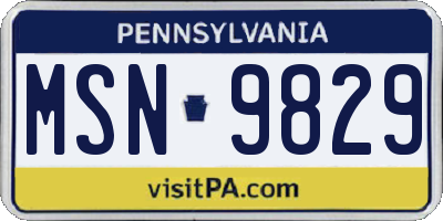 PA license plate MSN9829