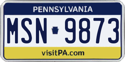 PA license plate MSN9873