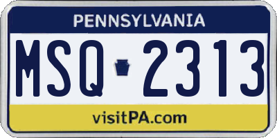 PA license plate MSQ2313