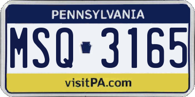 PA license plate MSQ3165