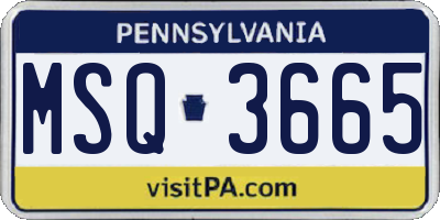 PA license plate MSQ3665