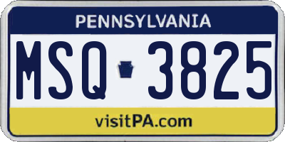 PA license plate MSQ3825