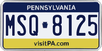 PA license plate MSQ8125