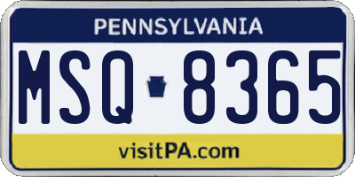 PA license plate MSQ8365