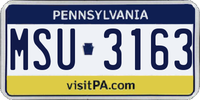 PA license plate MSU3163