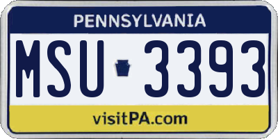 PA license plate MSU3393