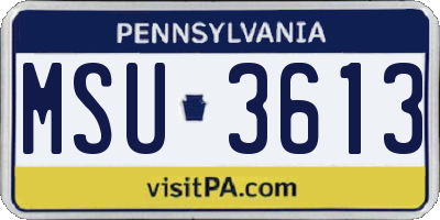 PA license plate MSU3613