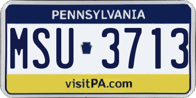 PA license plate MSU3713