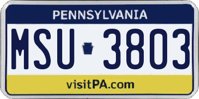 PA license plate MSU3803