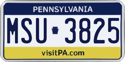 PA license plate MSU3825
