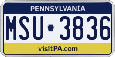 PA license plate MSU3836