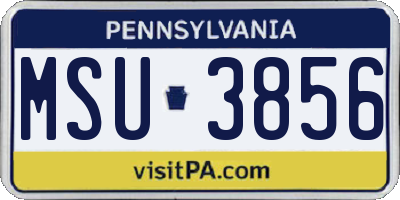 PA license plate MSU3856