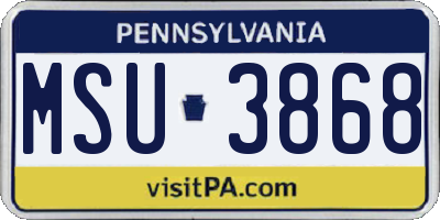 PA license plate MSU3868
