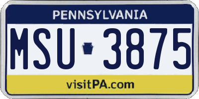 PA license plate MSU3875