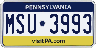PA license plate MSU3993