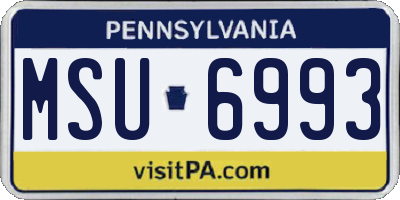 PA license plate MSU6993