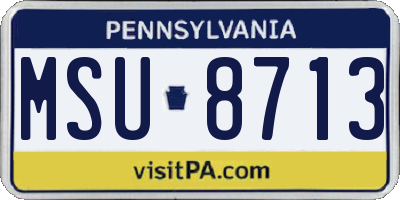 PA license plate MSU8713