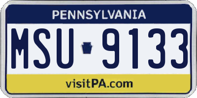 PA license plate MSU9133