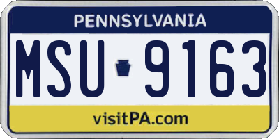 PA license plate MSU9163