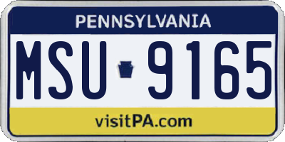 PA license plate MSU9165