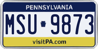 PA license plate MSU9873