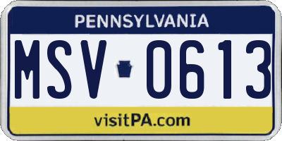 PA license plate MSV0613
